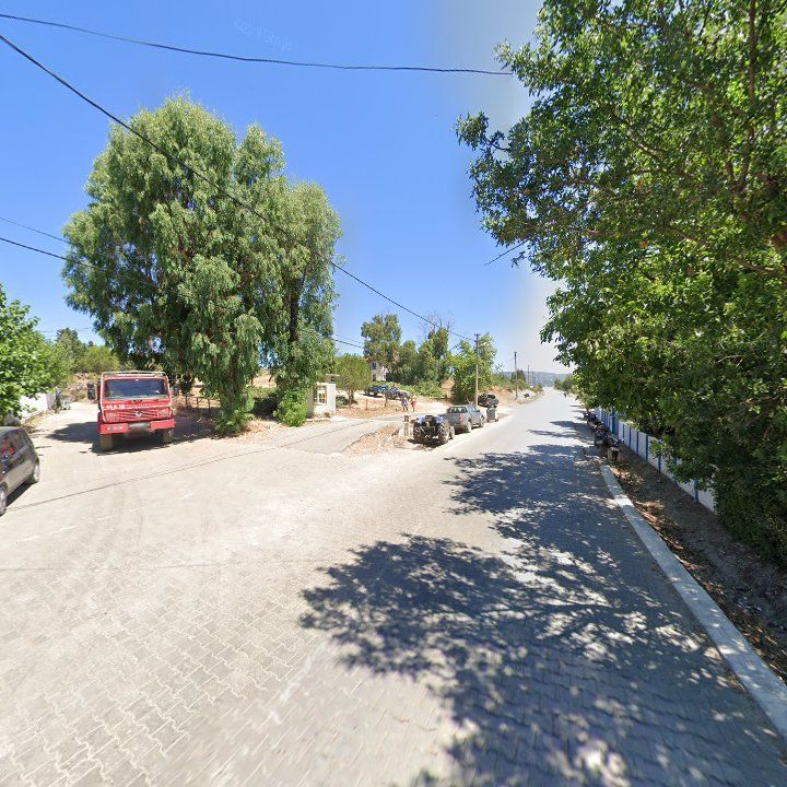 Fotoğraf 11