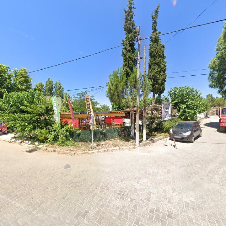 Fotoğraf 10