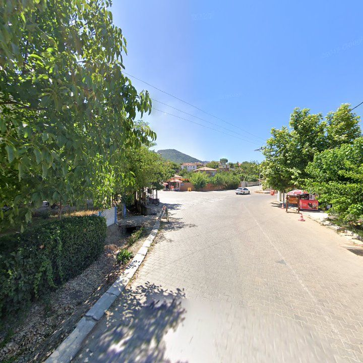 Fotoğraf 9