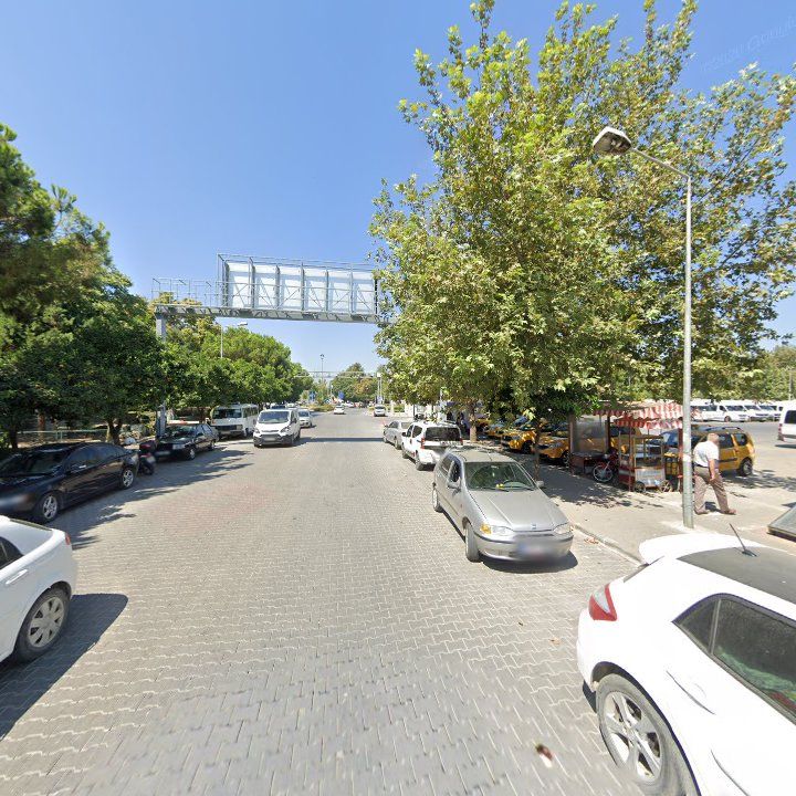 Fotoğraf 7