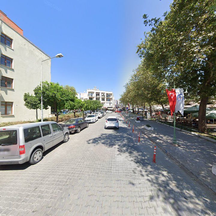 Fotoğraf 12
