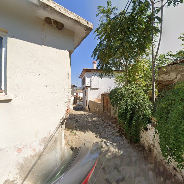 Fotoğraf 12