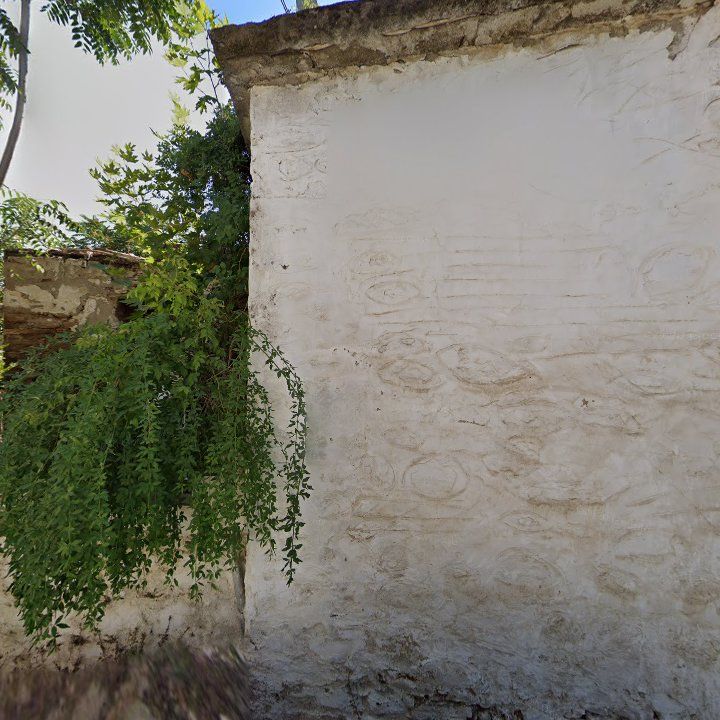 Fotoğraf 13
