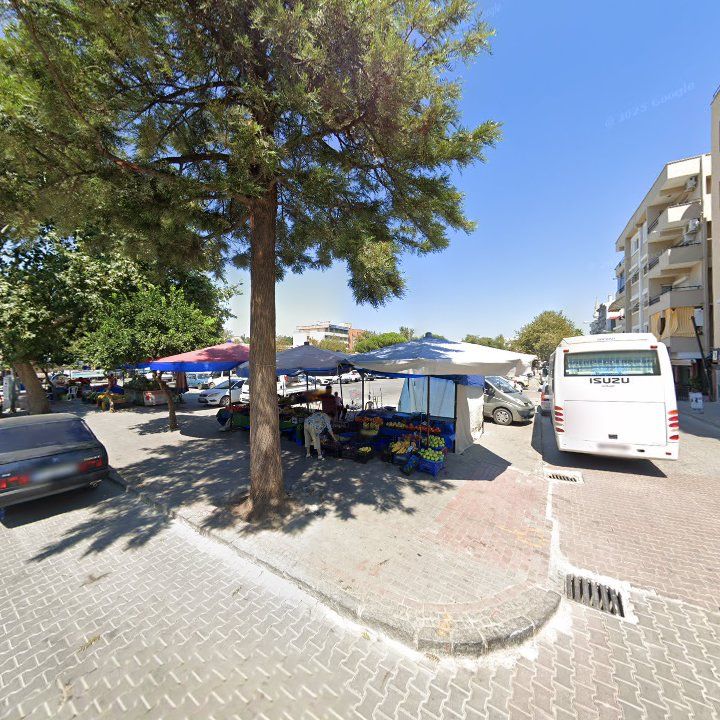 Fotoğraf 8