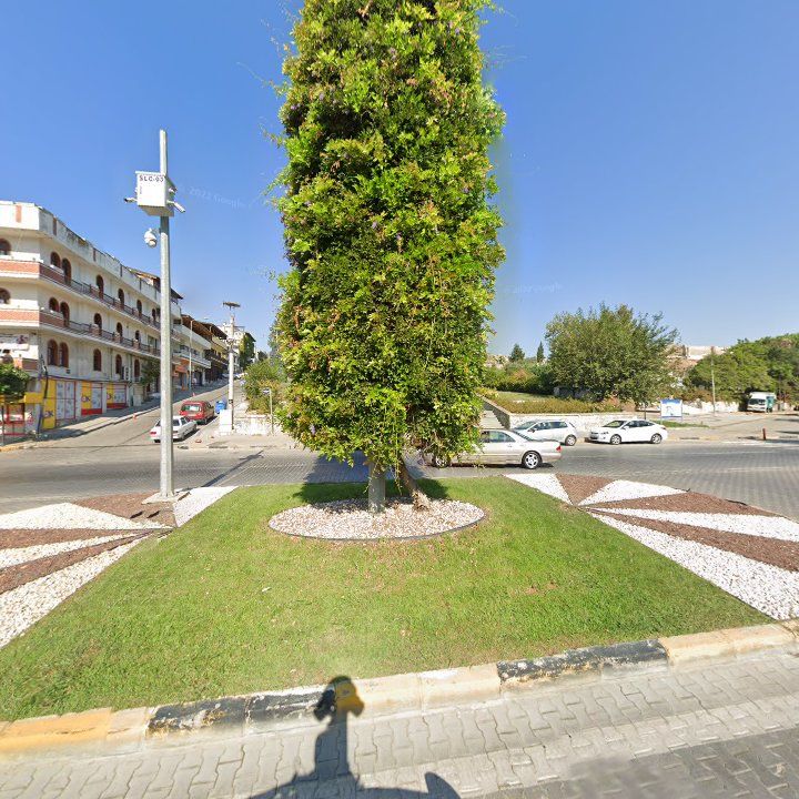 Fotoğraf 12