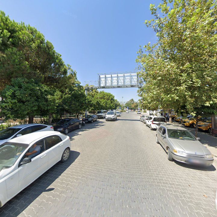 Fotoğraf 7