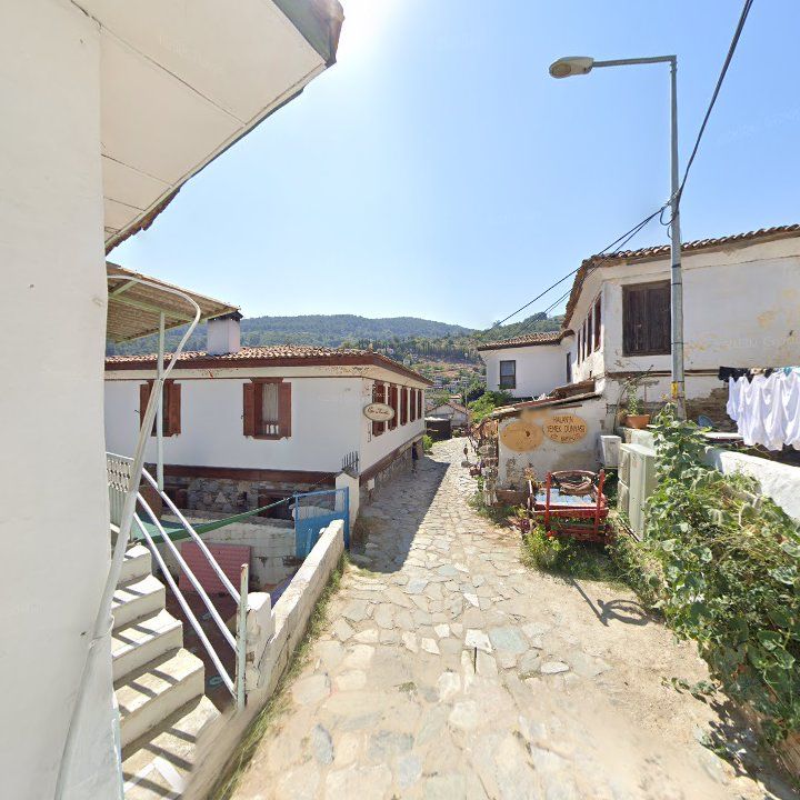 Fotoğraf 10