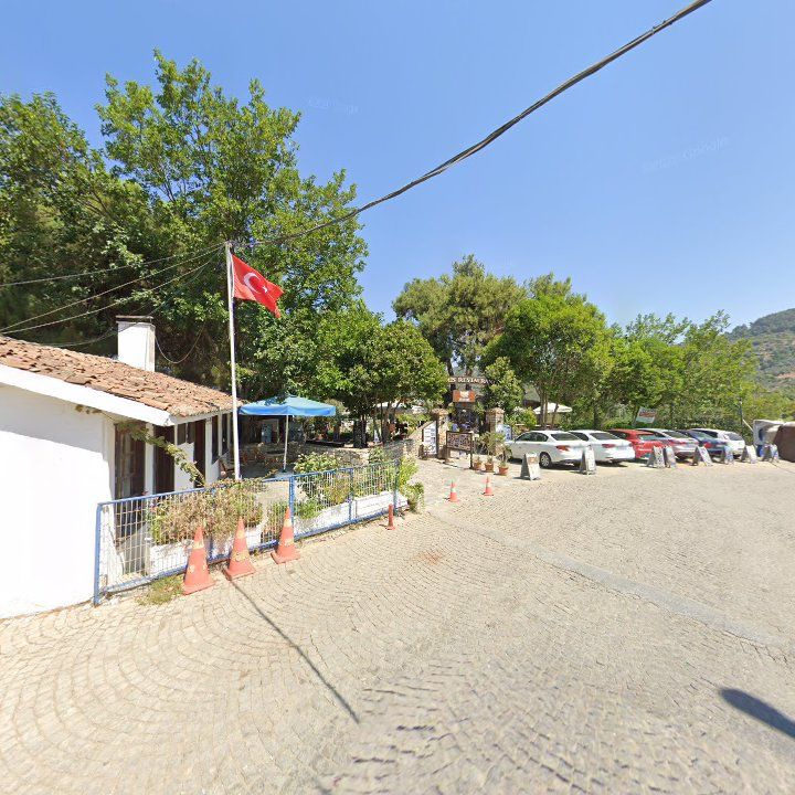 Fotoğraf 9