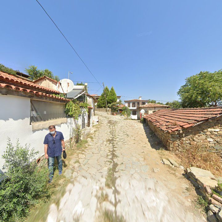 Fotoğraf 10