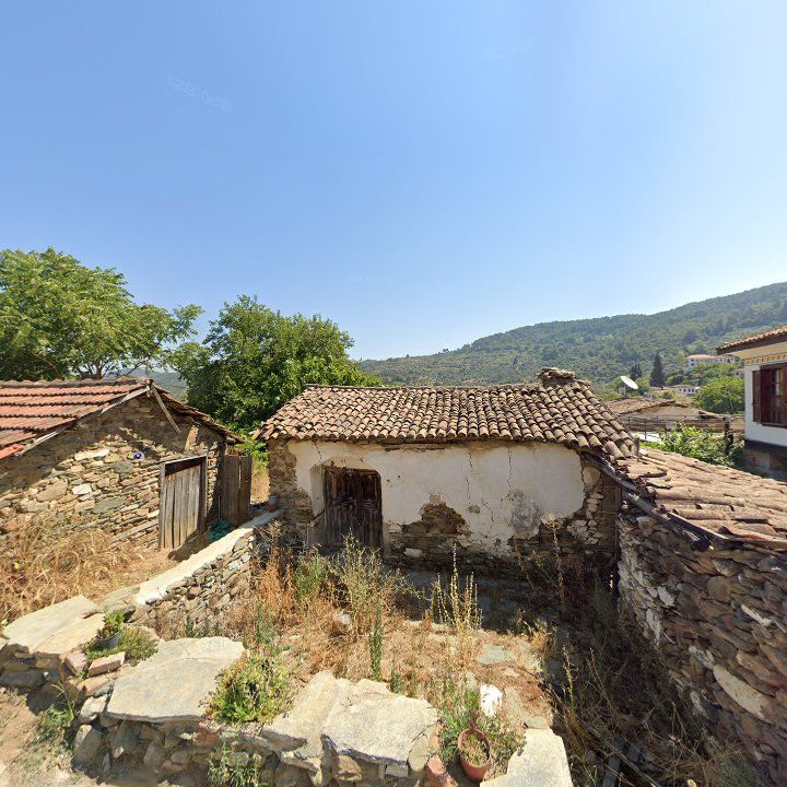 Fotoğraf 11
