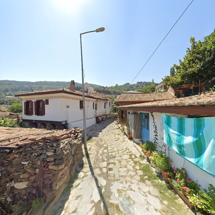 Fotoğraf 12