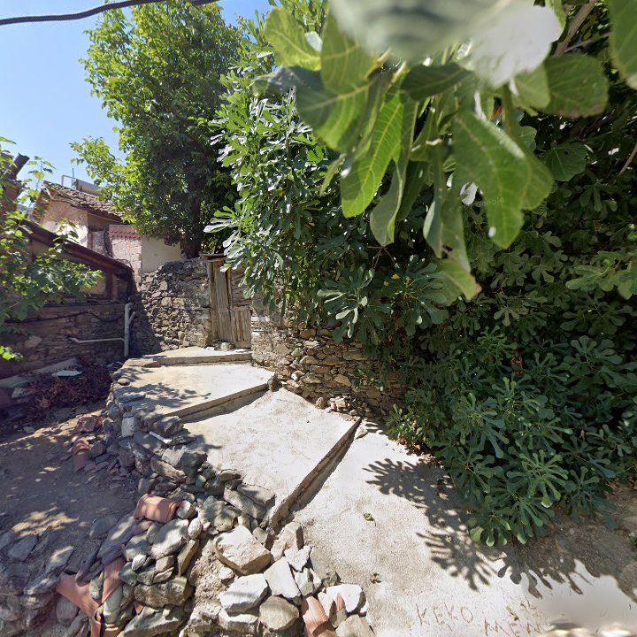 Fotoğraf 10