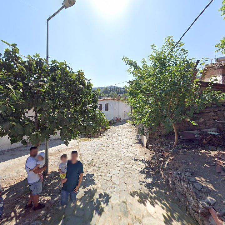 Fotoğraf 13