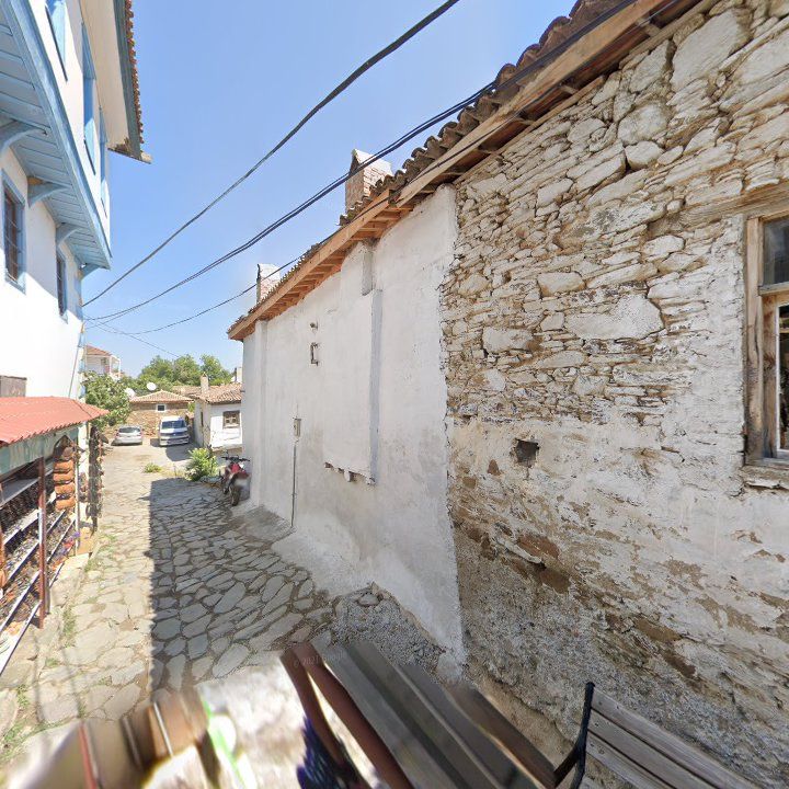 Fotoğraf 12