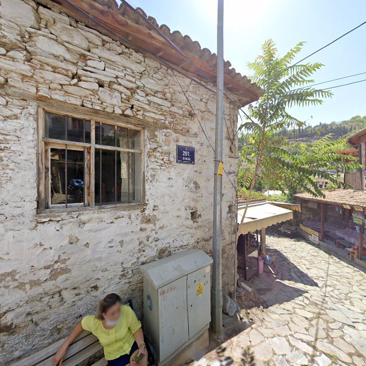 Fotoğraf 13
