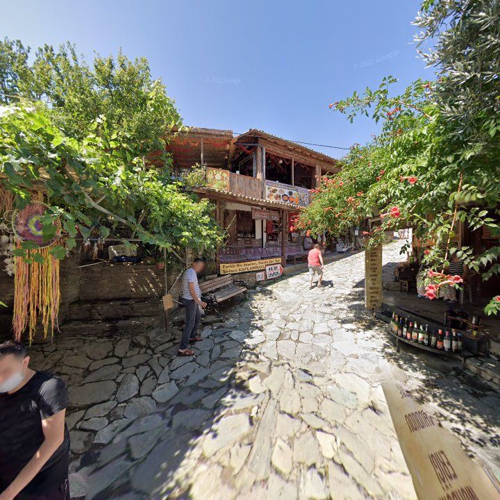 Fotoğraf 8