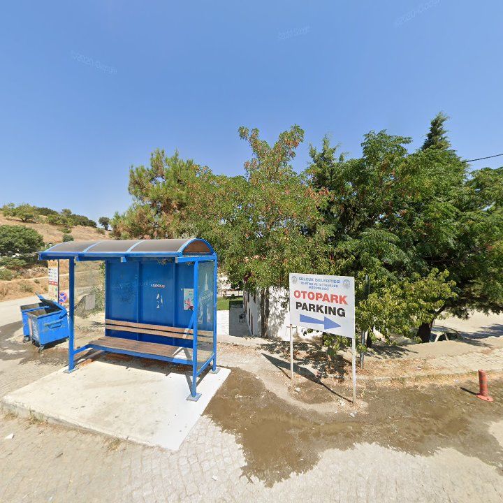 Fotoğraf 3