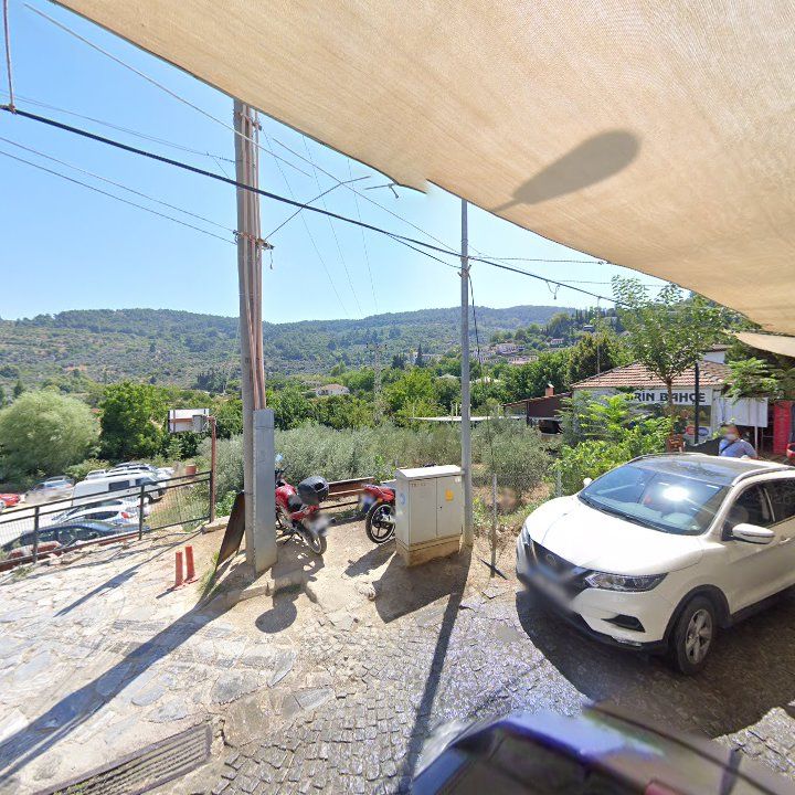 Fotoğraf 9