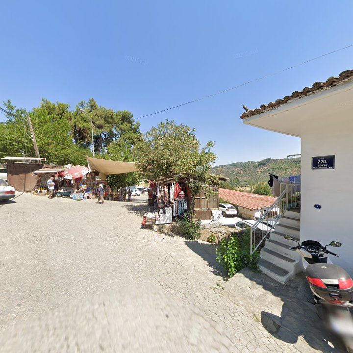 Fotoğraf 13