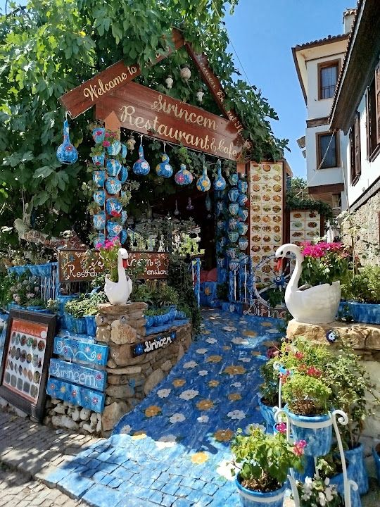 Fotoğraf 11