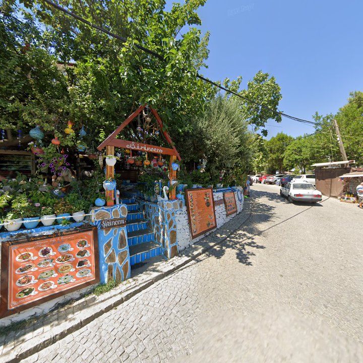 Fotoğraf 12