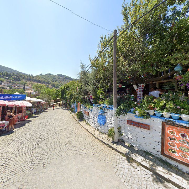 Fotoğraf 15