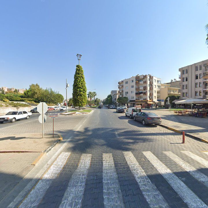 Fotoğraf 11