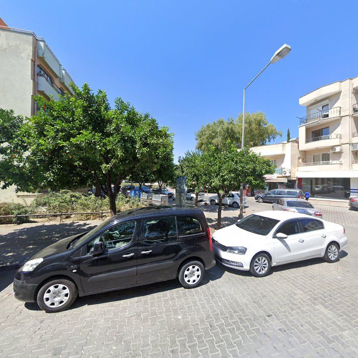Fotoğraf 11
