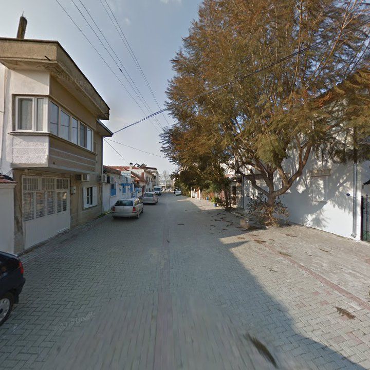 Fotoğraf 7