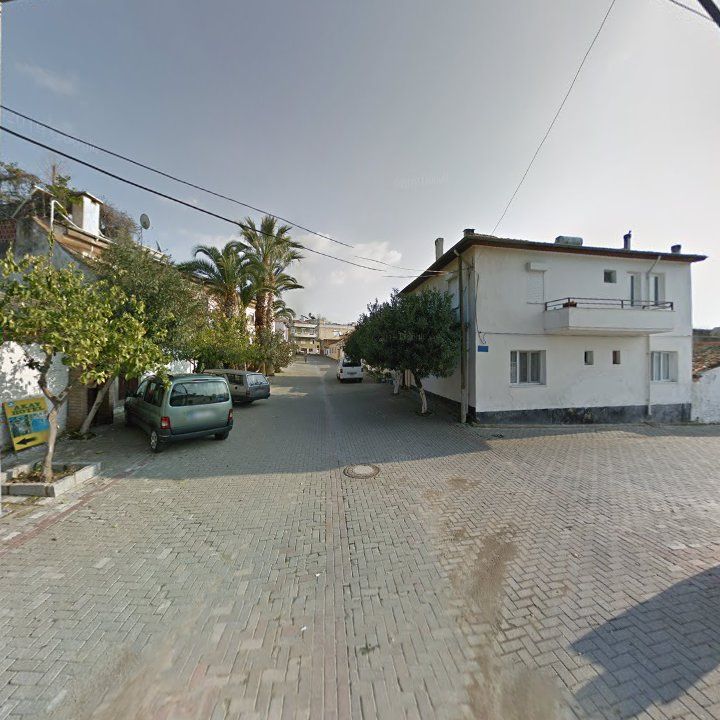 Fotoğraf 9