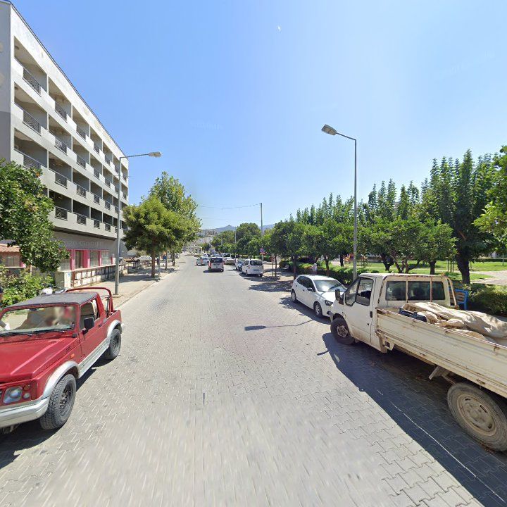 Fotoğraf 8