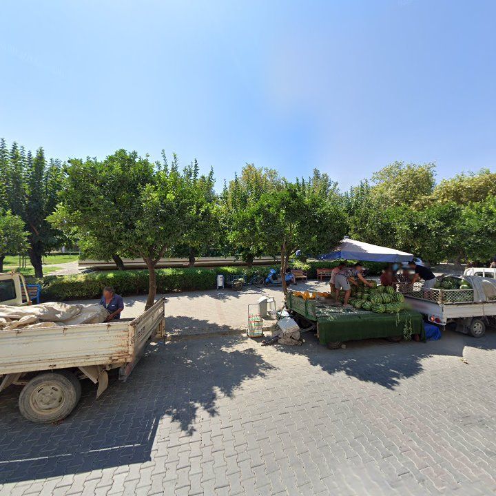 Fotoğraf 9