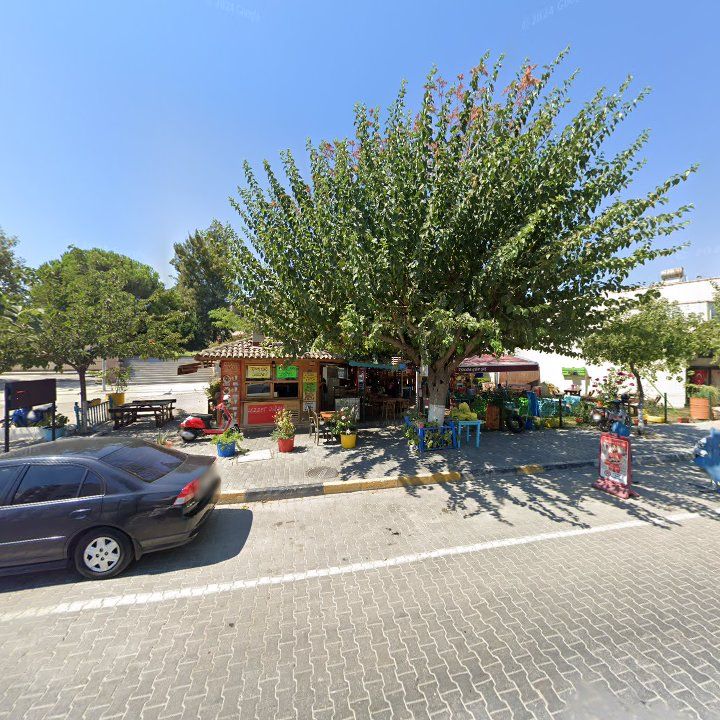 Fotoğraf 7