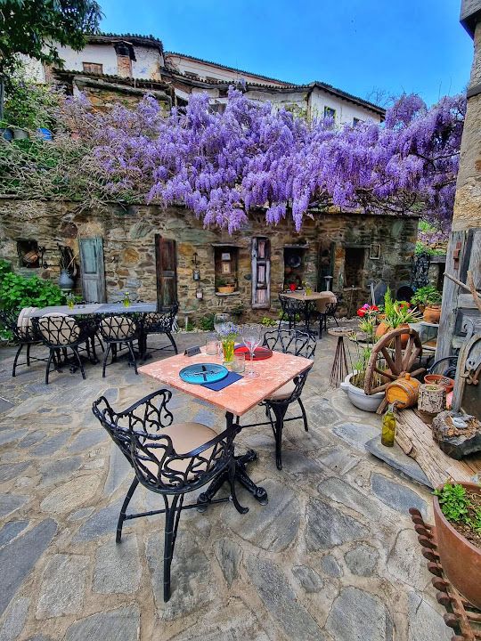 Üzüm Cafe