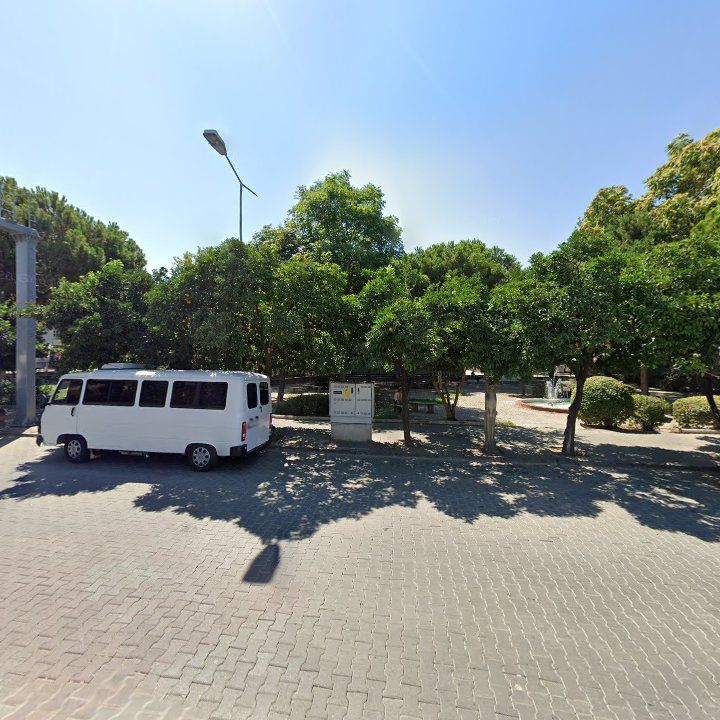 Fotoğraf 7