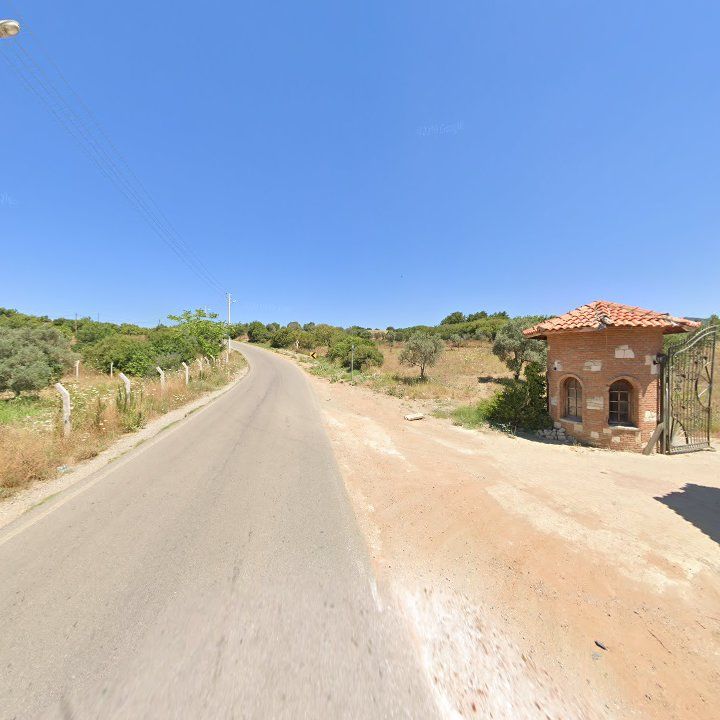 Fotoğraf 10
