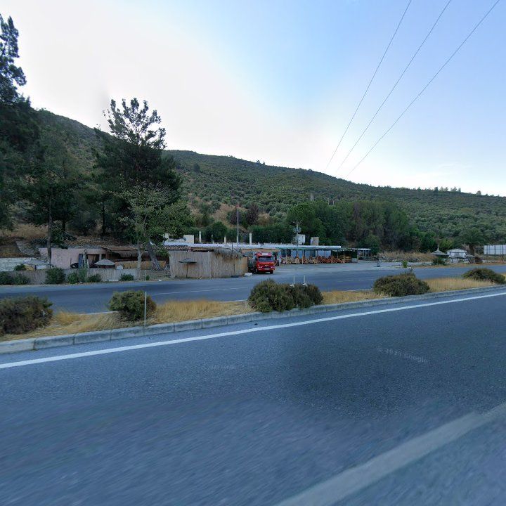 Fotoğraf 11