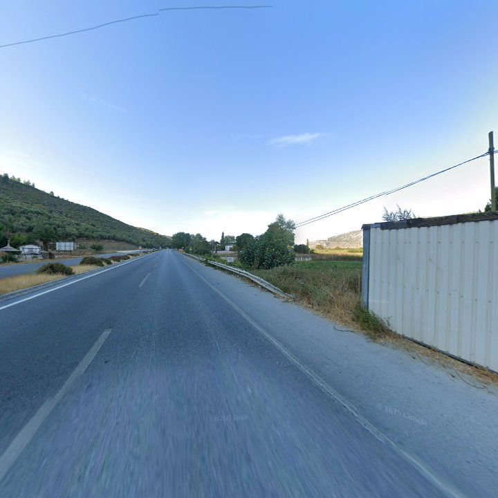 Fotoğraf 12