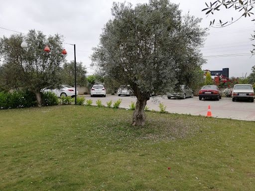 Fotoğraf 9