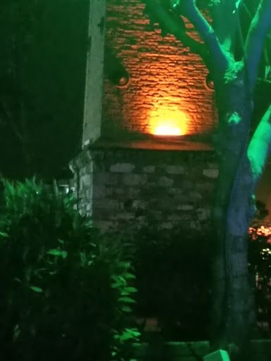 Fotoğraf 21