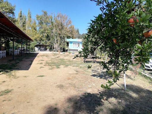 Fotoğraf 21