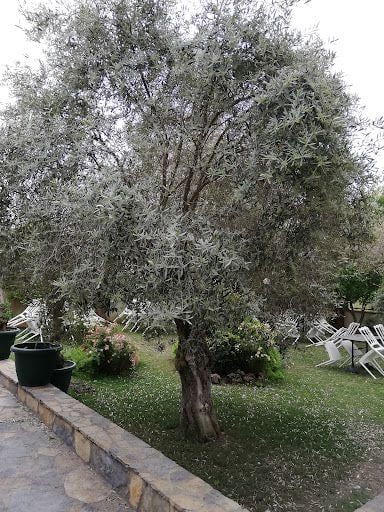 Fotoğraf 15