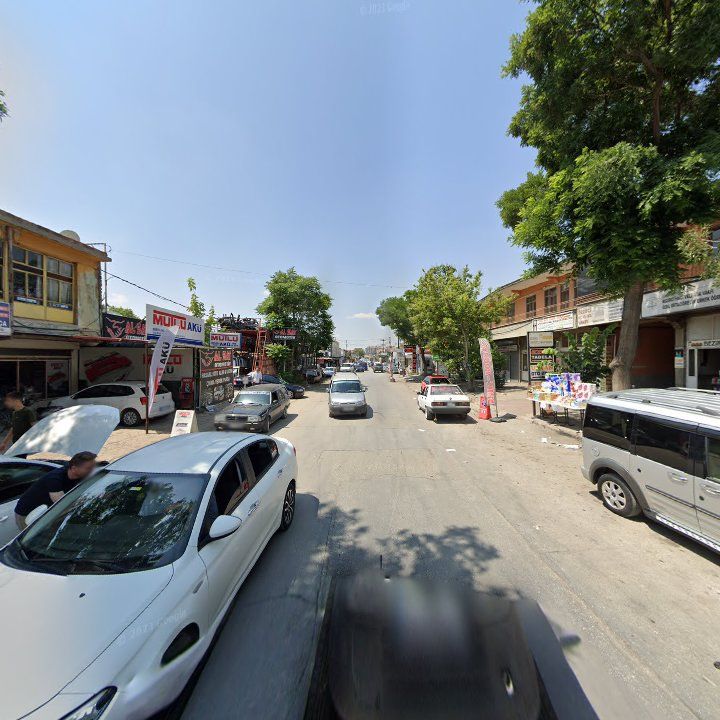Fotoğraf 5