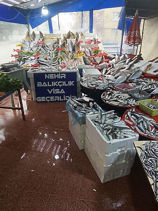 Nehir balıkçılık