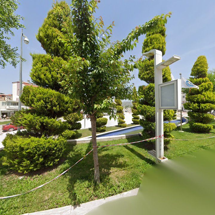 Fotoğraf 8