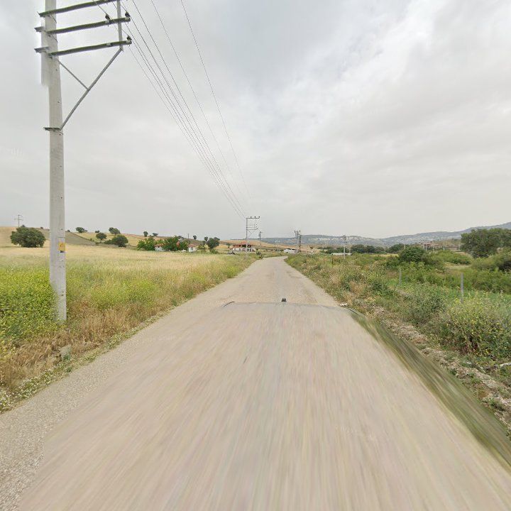 Fotoğraf 3