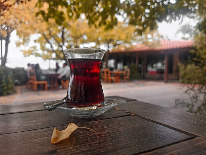 Fotoğraf 17