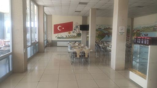 Yorum fotoğrafı 3