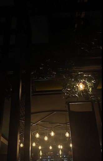 Fotoğraf 19