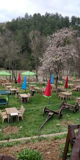Fotoğraf 35